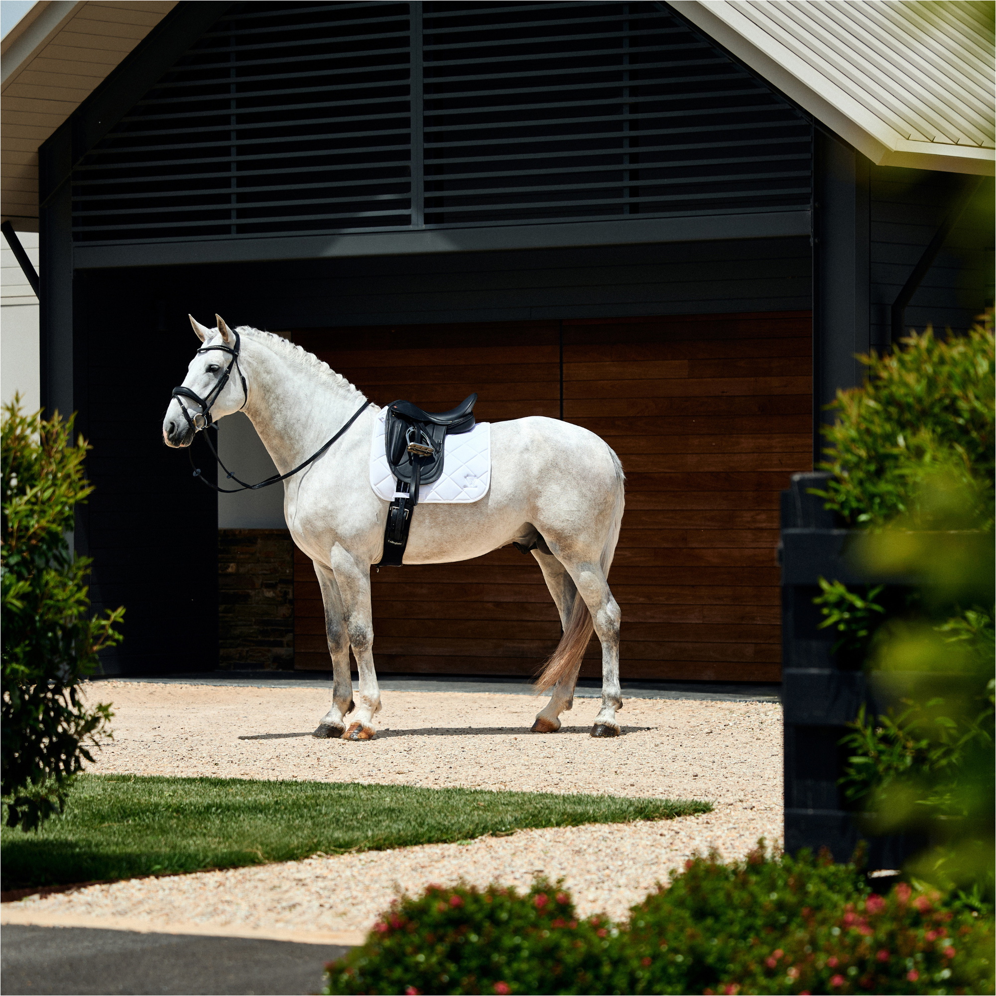 2026 WeatherBeeta Softshell Pro 3D Air-Tec Tenue D'équitation Tapis De Selle 1030351007 - White